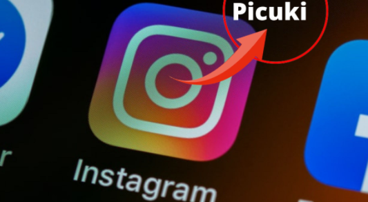 What Is The Difference Between Picuki And Instagram For Business