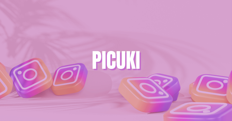 Picuki: An anonymous Instagram Viewer