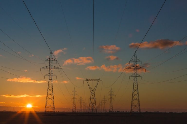 5 Greentech Innovators to Watch (and Learn From)