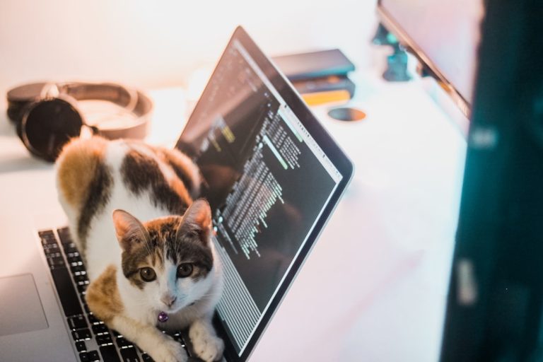 Fix PVP.Net Patcher Kernel Stopped Working Error